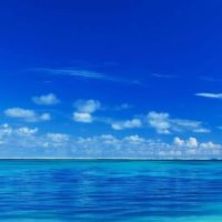 zack 男性 ヒミツ 